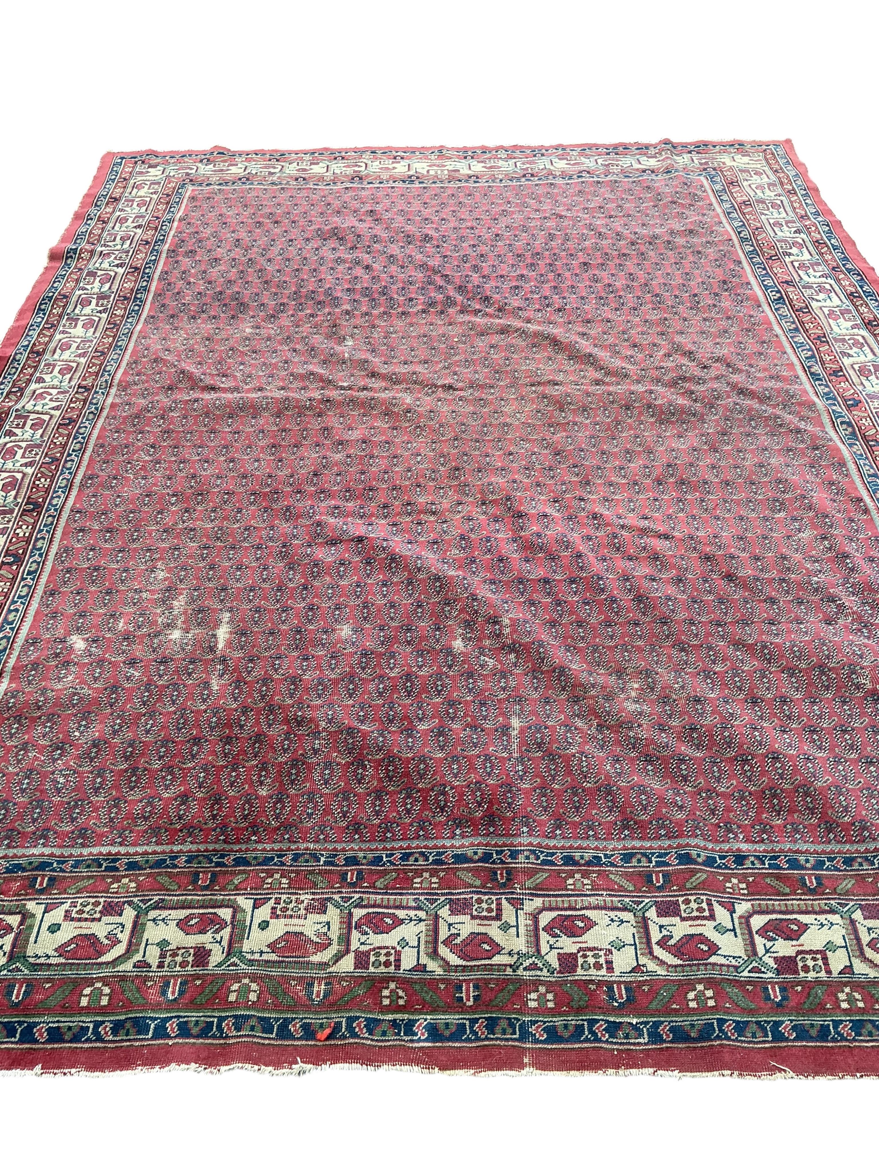 A North West Persian brick red ground Boteh carpet, 355 x 265cm